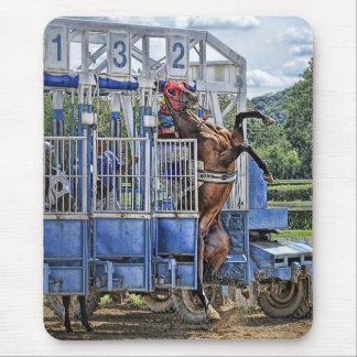 Thoroughbreds "Risky Business" Mousepad