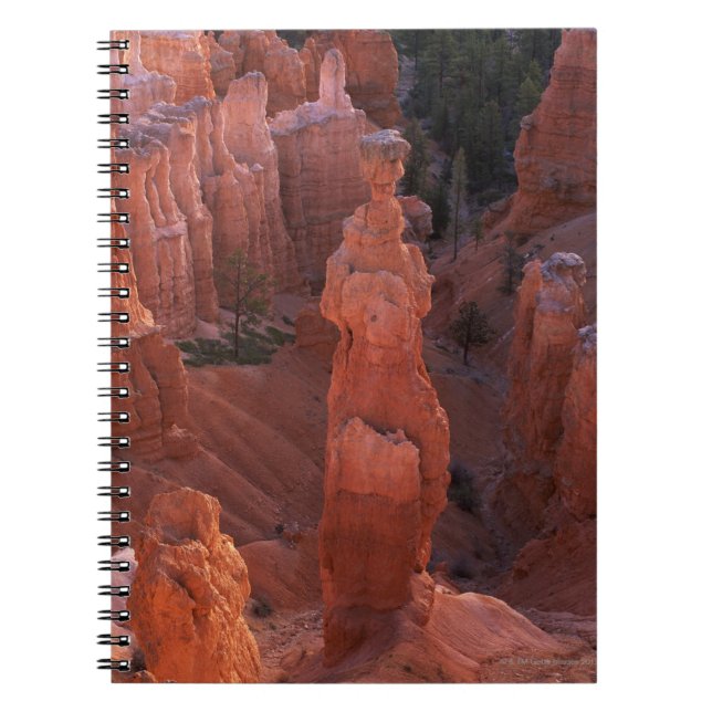 Thor's Hammer hoodoo on Navajo Trail Spiral Notebook (Front)