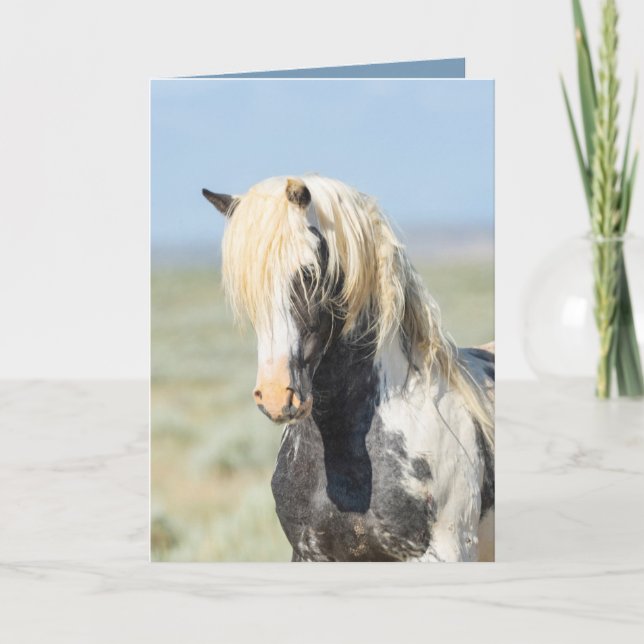 Thor's Light Portrait Wild Horse Greeting Card (Front)