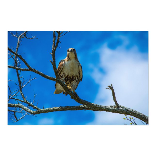 THOSE EYES 36 X 24 Kodak Pro Photo Print (Front)