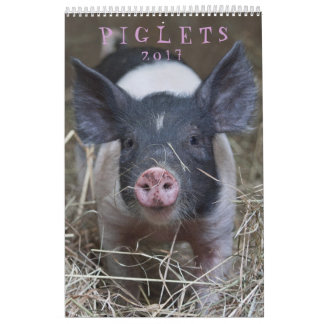 Those Piglets - 2017 Animal Wall Calendar