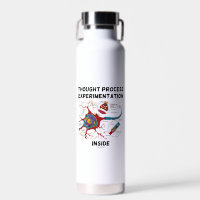 Thought Process Experimentation Inside Neuron