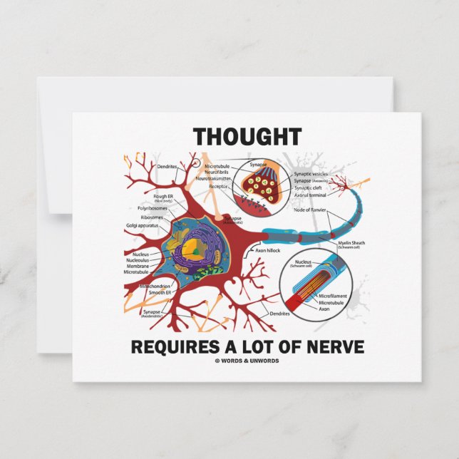 Thought Requires A Lot Of Nerve (Synapse) (Front)