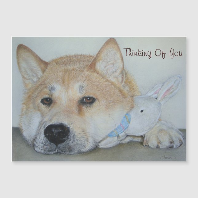 thoughtful beautiful akita dog thinking of you (Front)