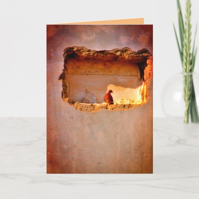 Thoughtful Dove Card (Front)