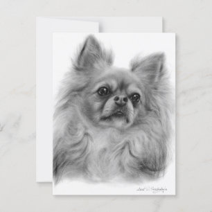 Thoughtful Gaze - Hand Painted Dog Artwork Postcard