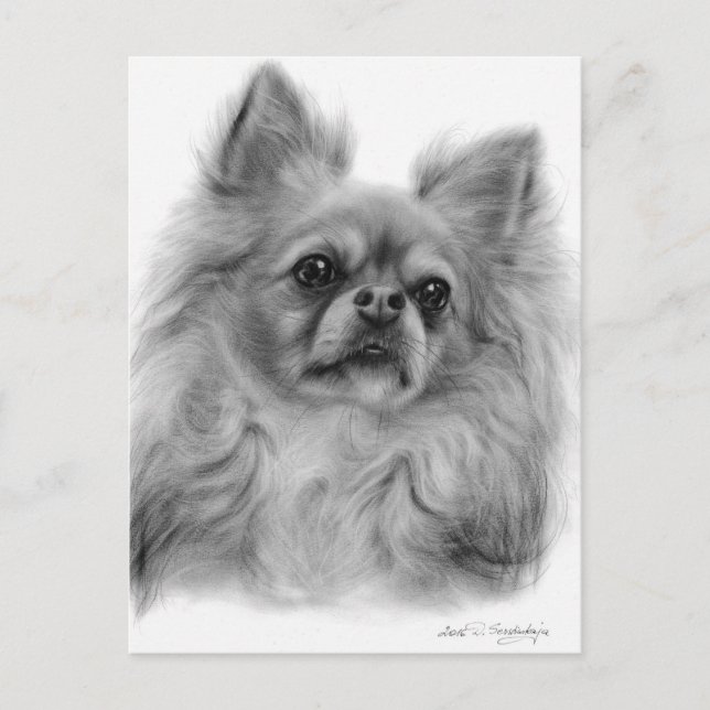 Thoughtful Gaze - Hand Painted Dog Artwork Postcard (Front)
