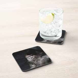 Thoughtful  Gorilla Coaster