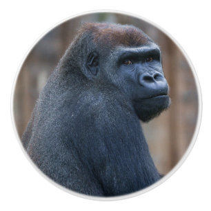 Thoughtful Gorilla Glancing Behind Ceramic Knob
