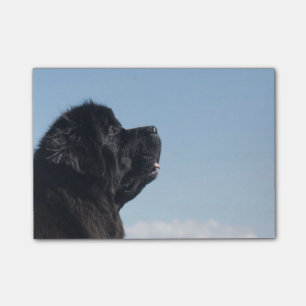 Thoughtful Inka Postit Note