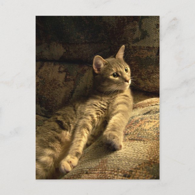 Thoughtful Postcard (Front)