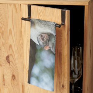 Thoughtful Vervet Monkey – Animal Photography Tea Towel