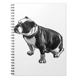 Thoughts Can Rest Notebook