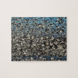 Thousands of Snow Geese Jigsaw Puzzle