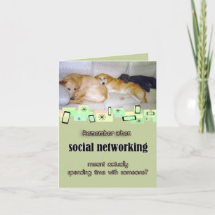 Three Adorable Dogs  Birthday Greeting Card