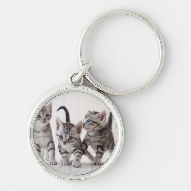 Three American Shorthair Playing Key Ring (Front)