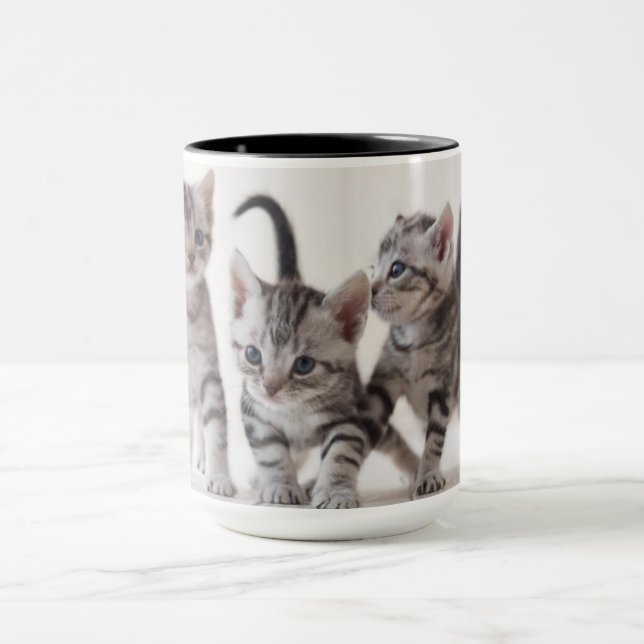 Three American Shorthair Playing Mug (Center)