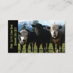 Three Amigos Beef Cattle Business Card