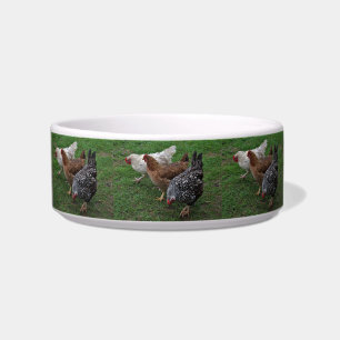 Three Amigos Bowl