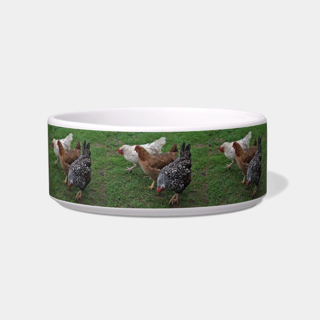 Three Amigos Bowl (Front)