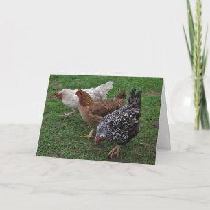 Three Amigos Card