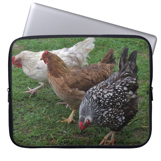 Three Amigos Laptop Sleeve (Front)