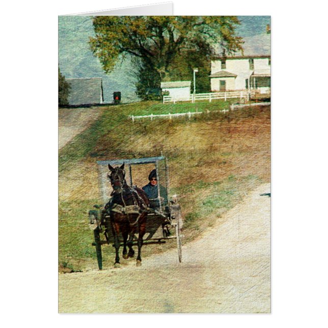 Three Amish Buggies (Front)