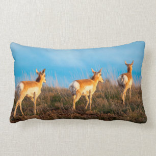 Three antelope walking away at sunset lumbar cushion
