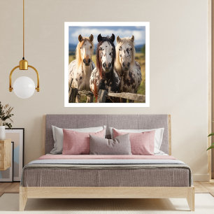 Three Appaloosa horses  Photo Print