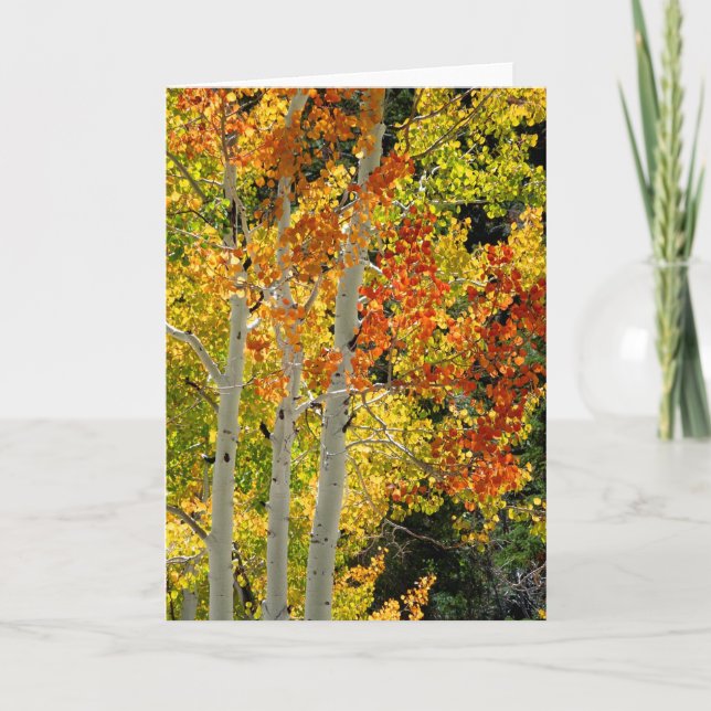 Three Aspens in Autumn, Blank Greeting Card (Front)