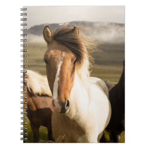 THREE ASSORTED-COLOR HORSES RUNNING AWAY FROM A MO NOTEBOOK