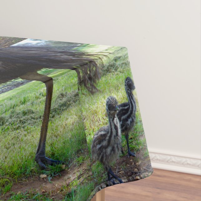 Three Australian Emu Chicks, Tablecloth (In Situ)