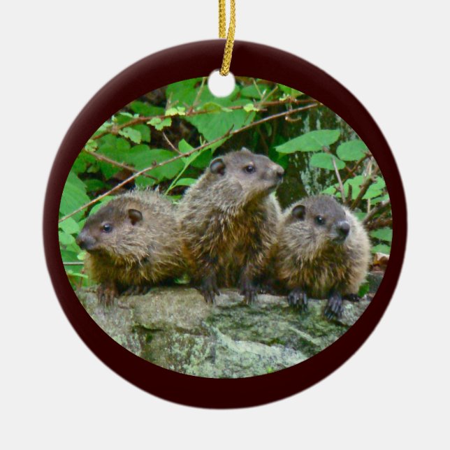 Three Baby Groundhogs Ceramic Tree Decoration (Front)