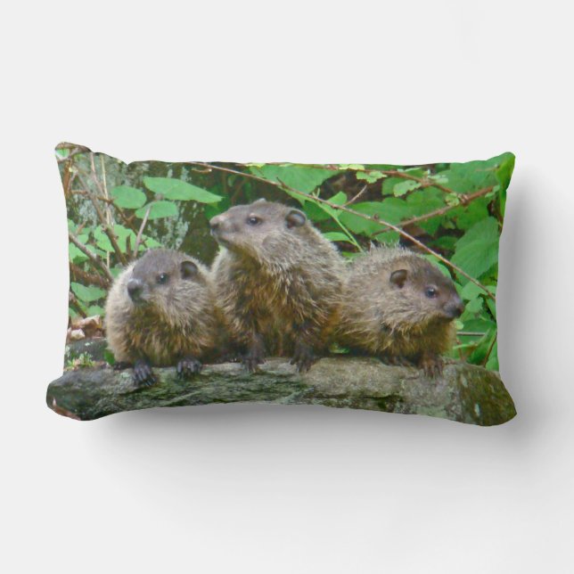 Three Baby Groundhogs Lumbar Cushion (Front)