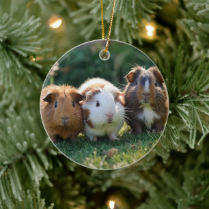 Three Baby Guinea Pigs, Ceramic Tree Decoration