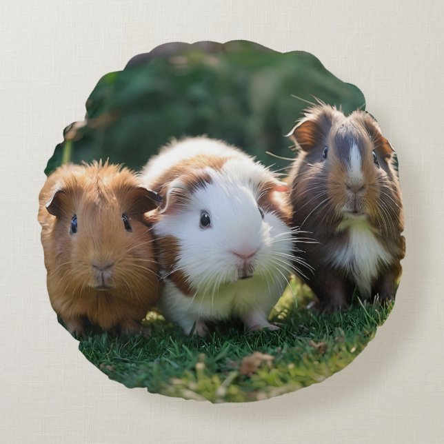 Three Baby Guinea Pigs, Round Cushion (Front)