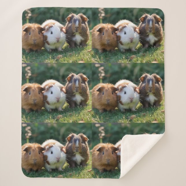 Three Baby Guinea Pigs, Sherpa Blanket (Front)