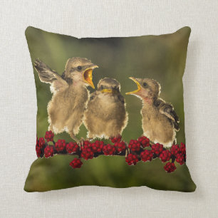 Three Baby Lanius Schach Birds Cushion