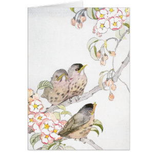 Three Baby Robins in a Cherry Tree