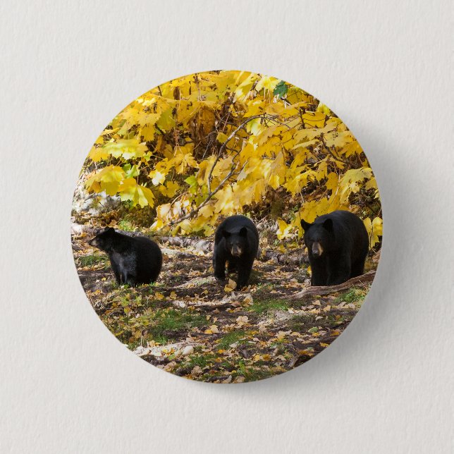 Three Bears 6 Cm Round Badge (Front)