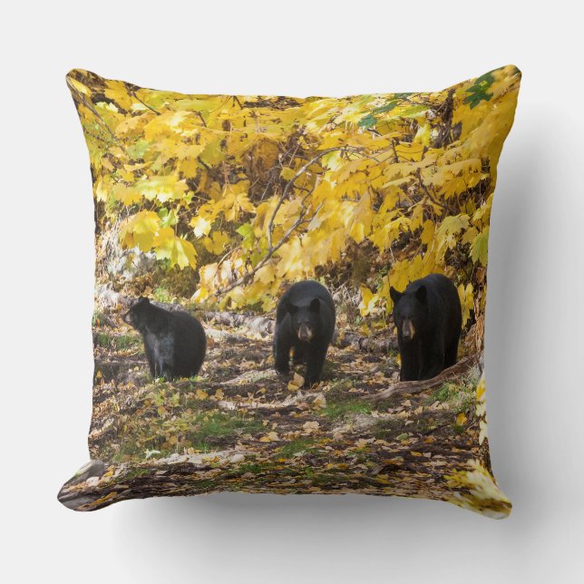 Three Bears Cushion (Front)