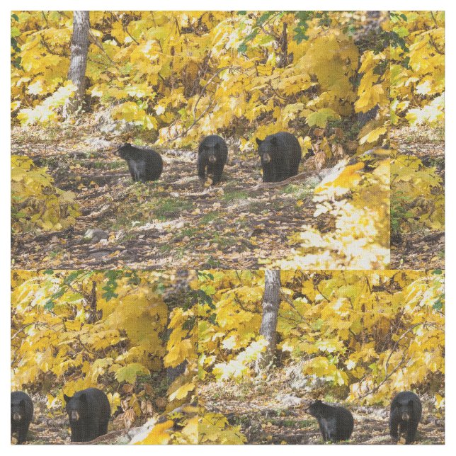 Three Bears Fabric (Close Up)