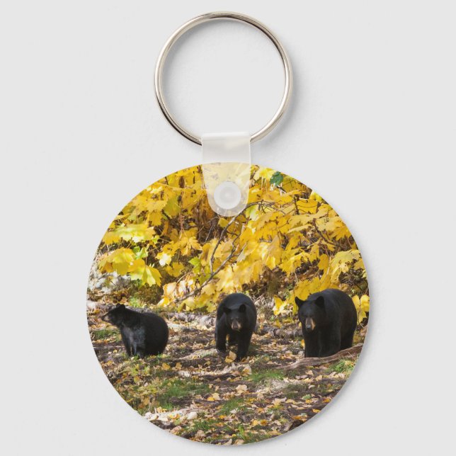 Three Bears Key Ring (Front)
