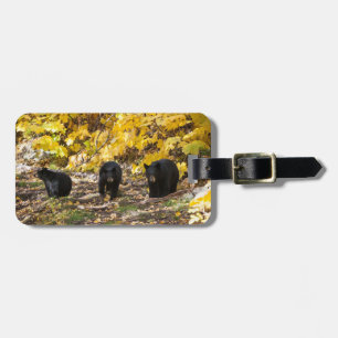 Three Bears Luggage Tag