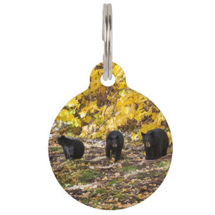 Three Bears Pet Tag