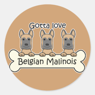Three Belgian Malinois Classic Round Sticker