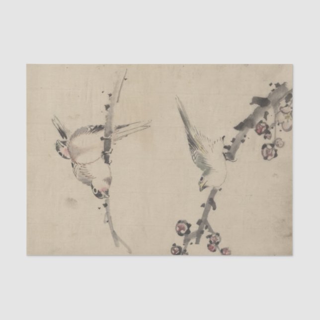 Three Birds on a Branch, One with Blossoms Tissue Paper (Front)