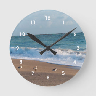 three birds on shore photo florida beach round clock