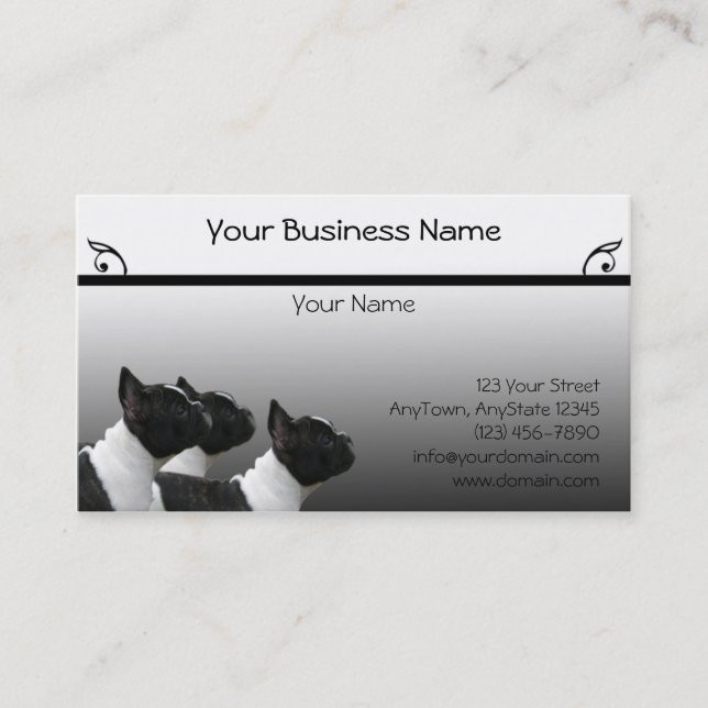 Three Black and White French Bulldogs Portrait Business Card (Front)