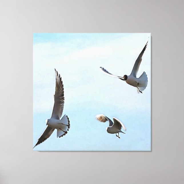 Three Black Headed Gulls Of The Bosphorus Art Canvas Print (Front)